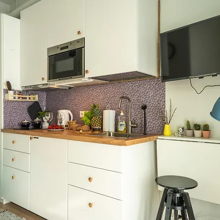 Apartmán Mikrohub45 - Taeismoebleeritud Ja Koigi Mugavustega Soodne Stuudiokorter