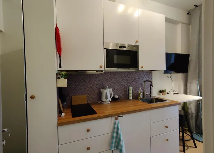 Mikrohub45 - Taeismoebleeritud Ja Koigi Mugavustega Soodne Stuudiokorter