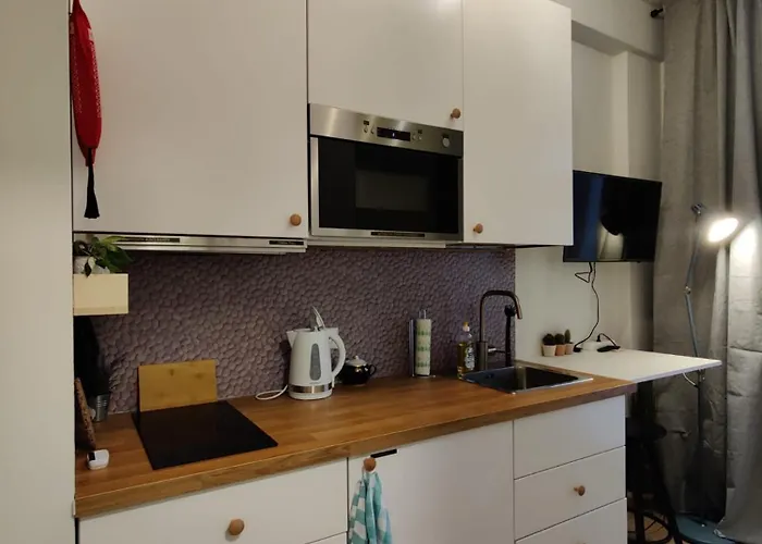 Mikrohub45 - Taeismoebleeritud Ja Koigi Mugavustega Soodne Stuudiokorter شقة